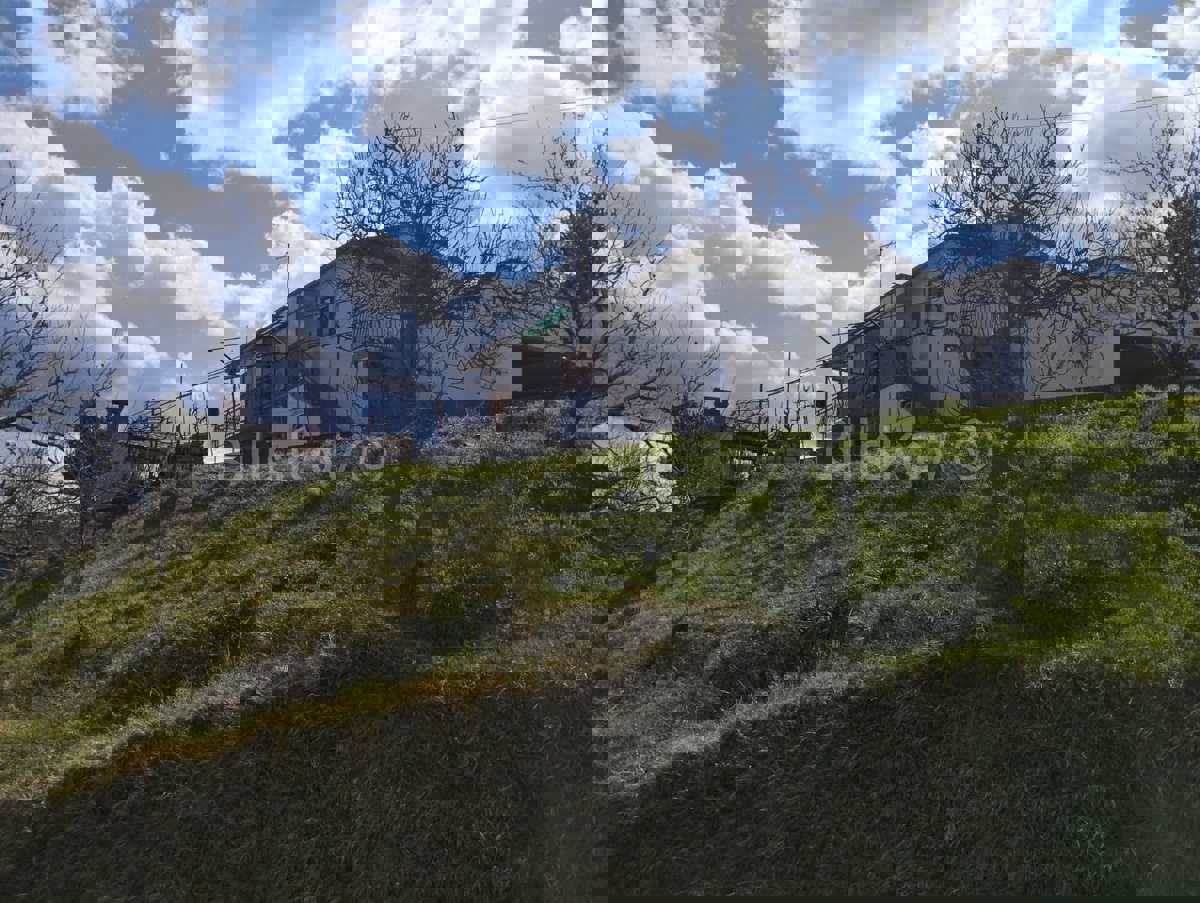 BUZET