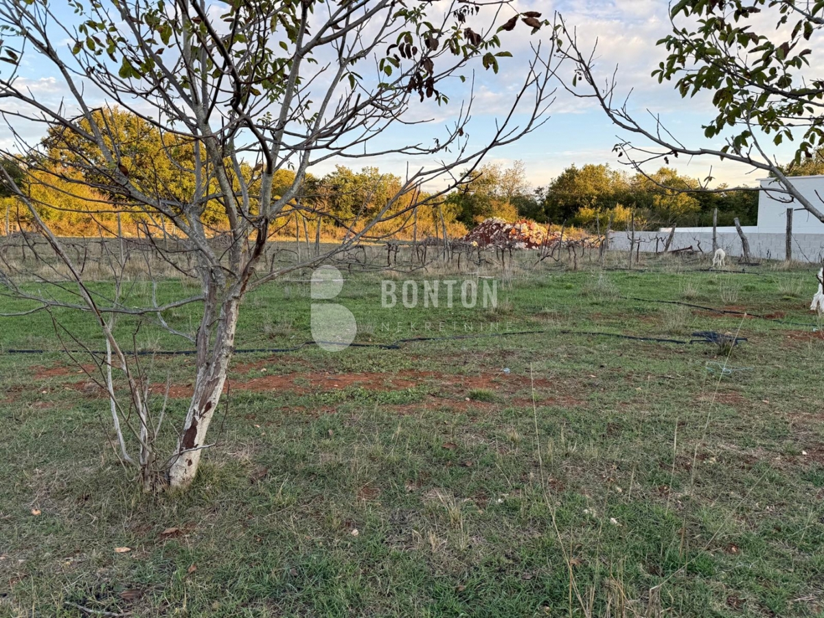 Terreno POLIČNIK, 98.000 €