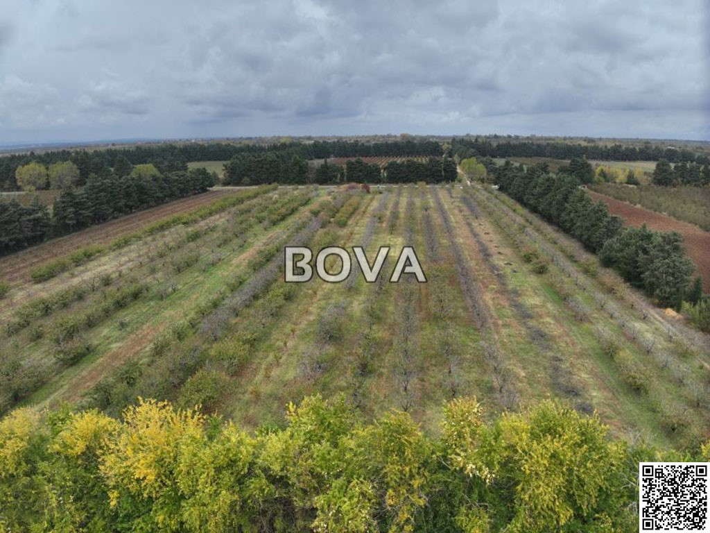 Участок BENKOVAC, 150.000 €