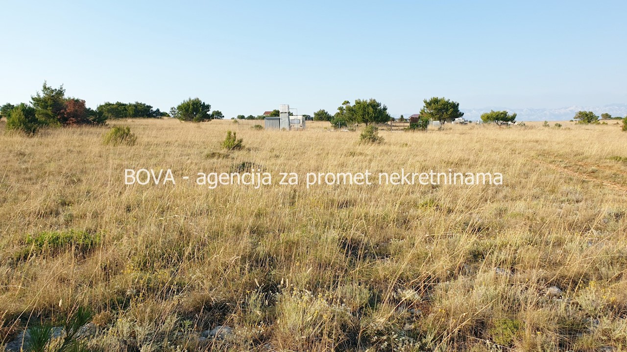 VIR