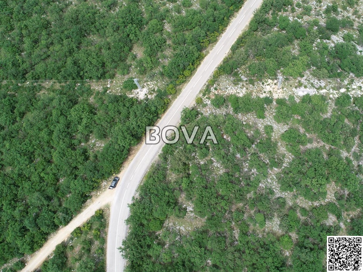 SLIVNICA