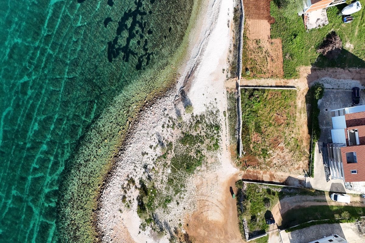 BRAČ