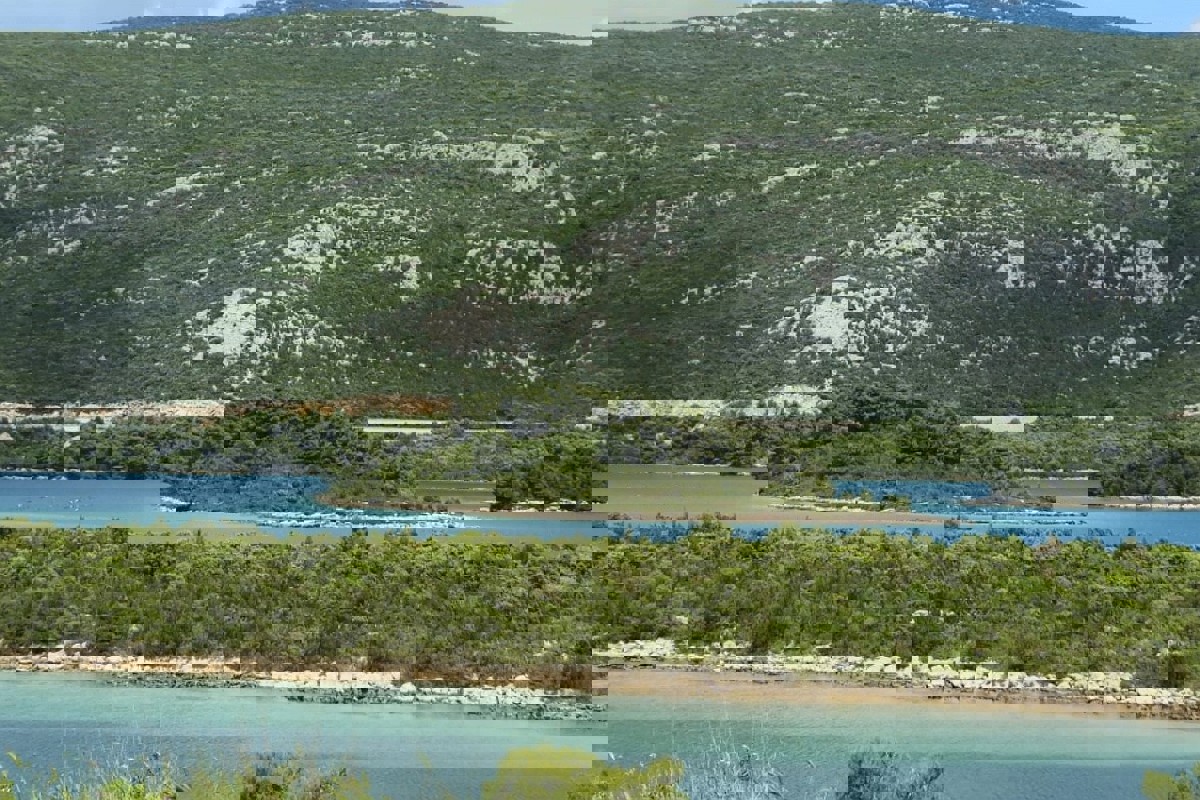 PELJEŠAC