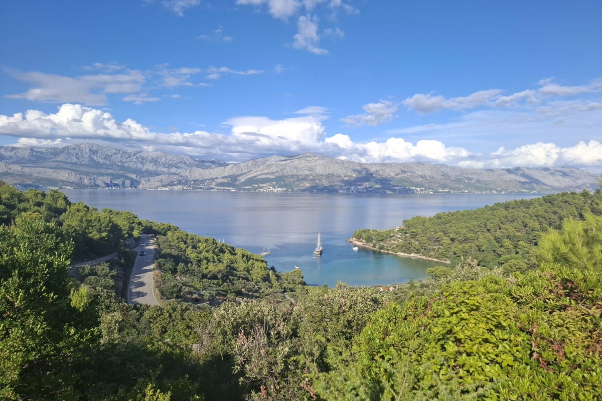 BRAČ