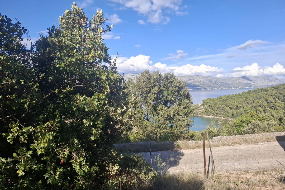 BRAČ