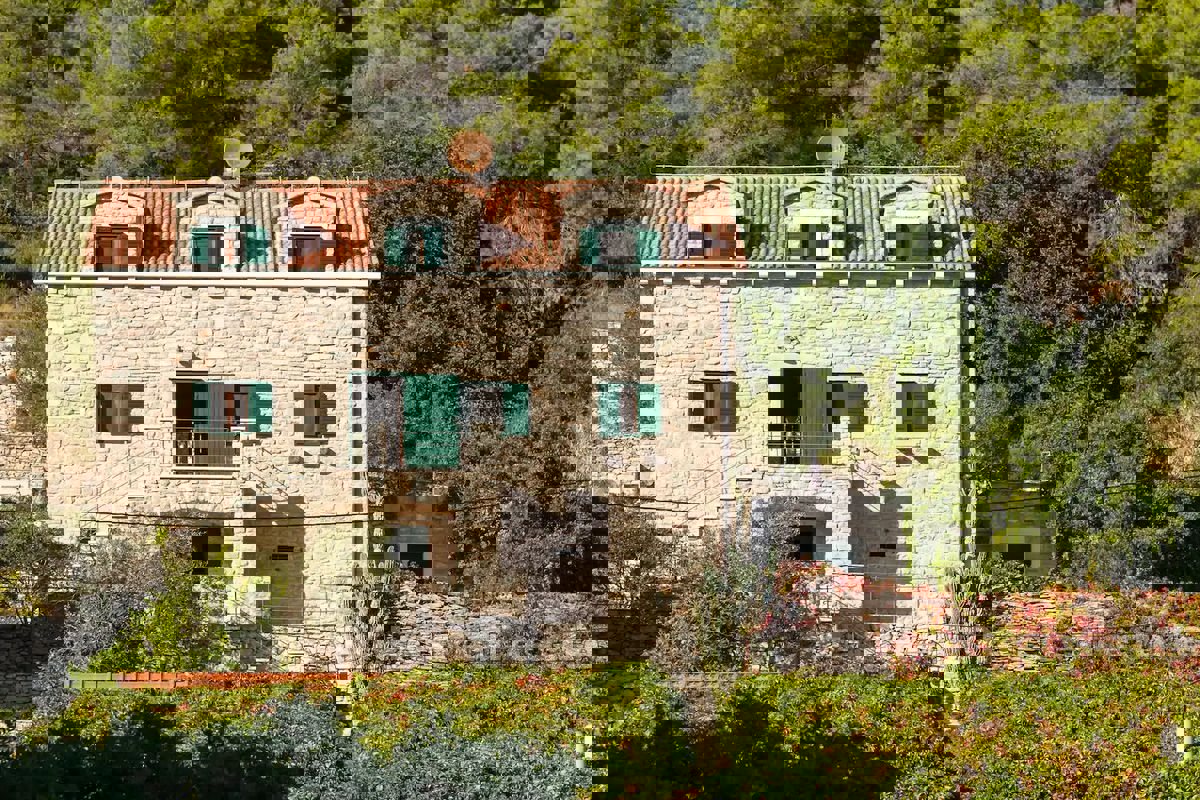 ŠOLTA