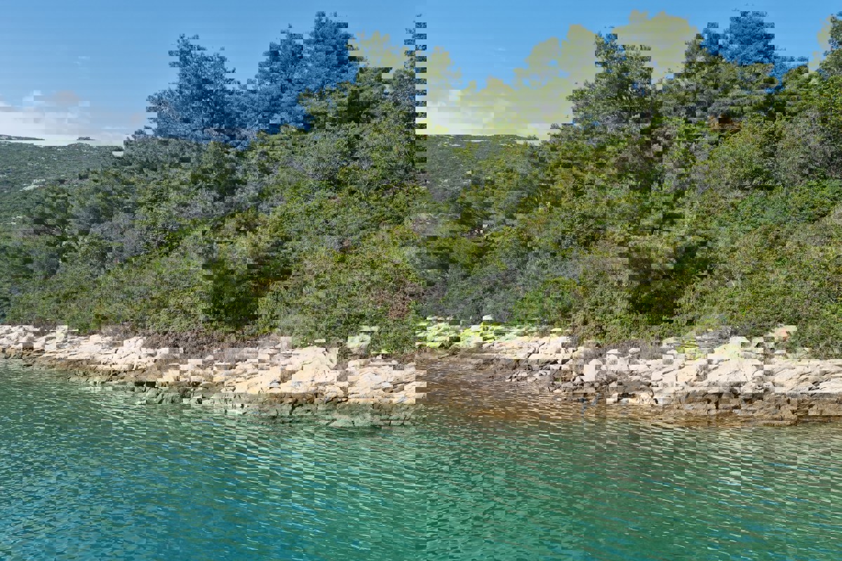 PELJEŠAC