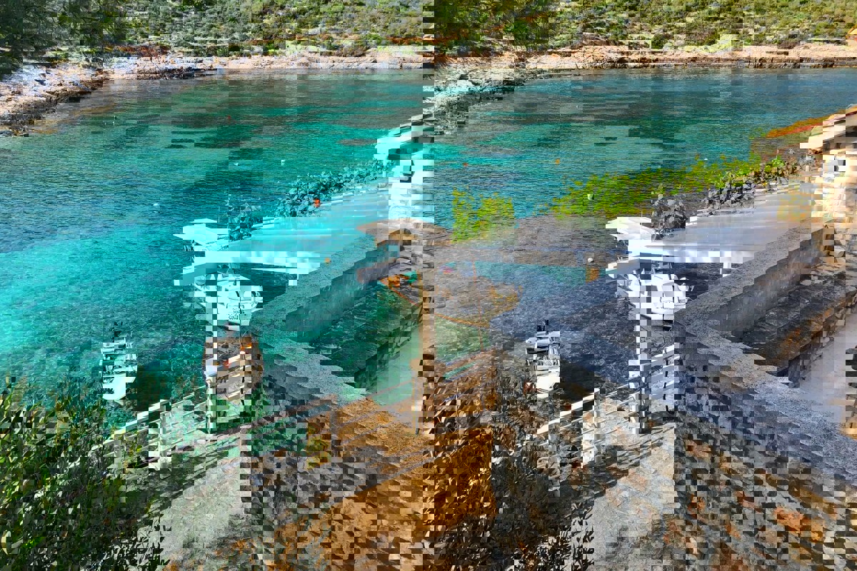 VIS
