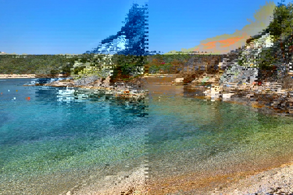 VIS