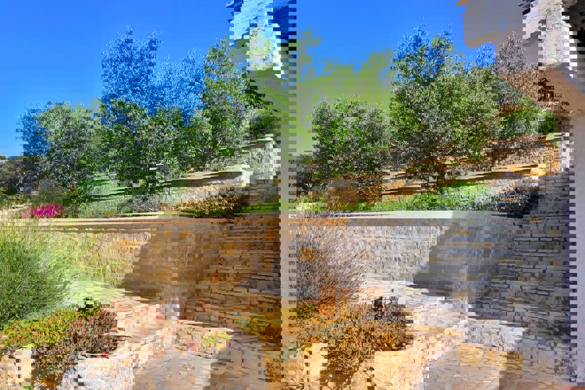 VIS