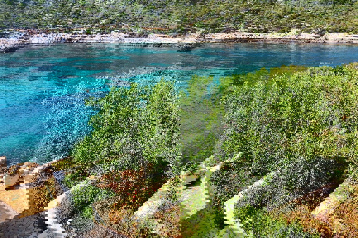 VIS