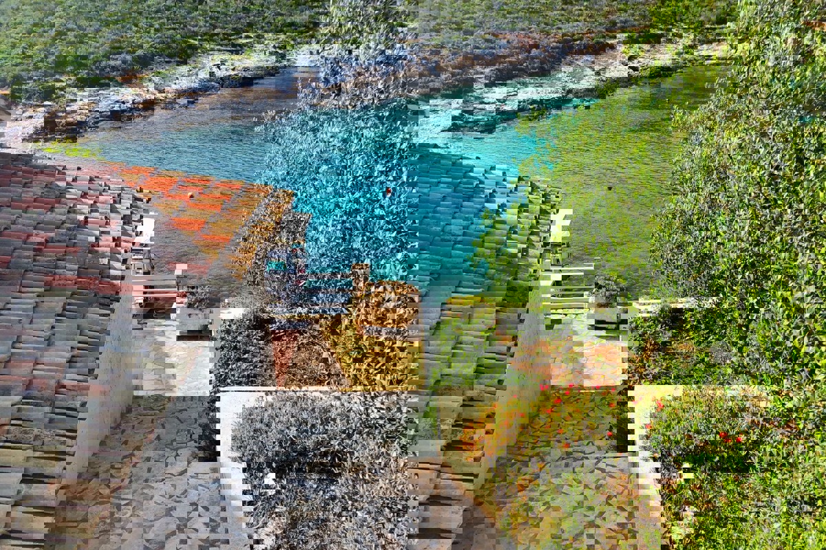 VIS
