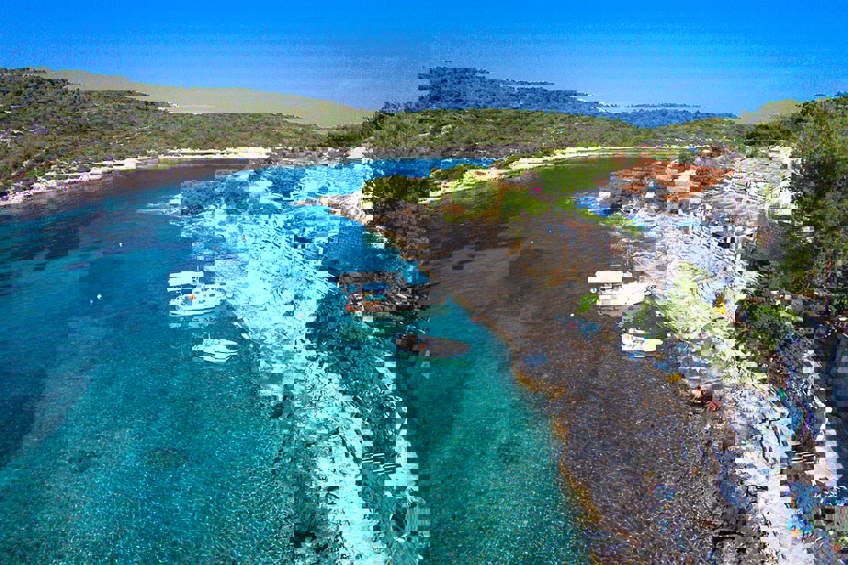 VIS