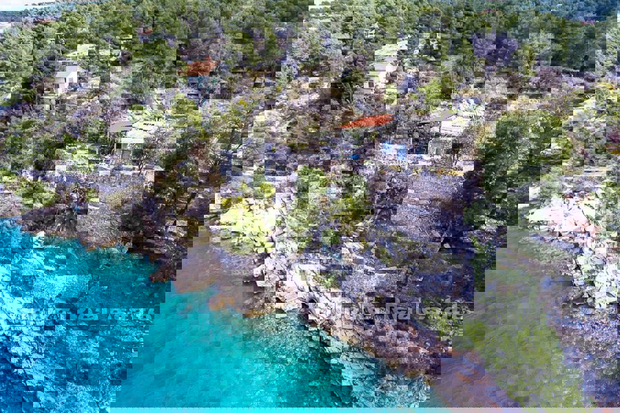 BRAČ