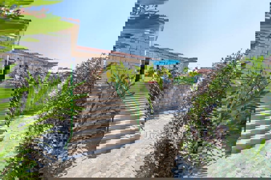 BRAČ