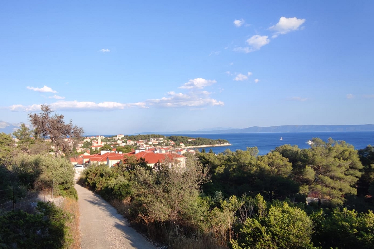 BRAČ