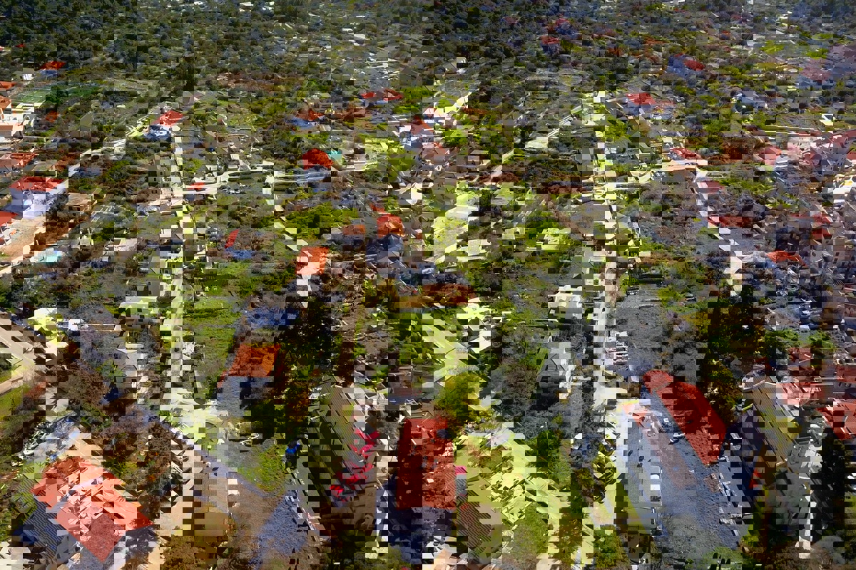 ŠOLTA