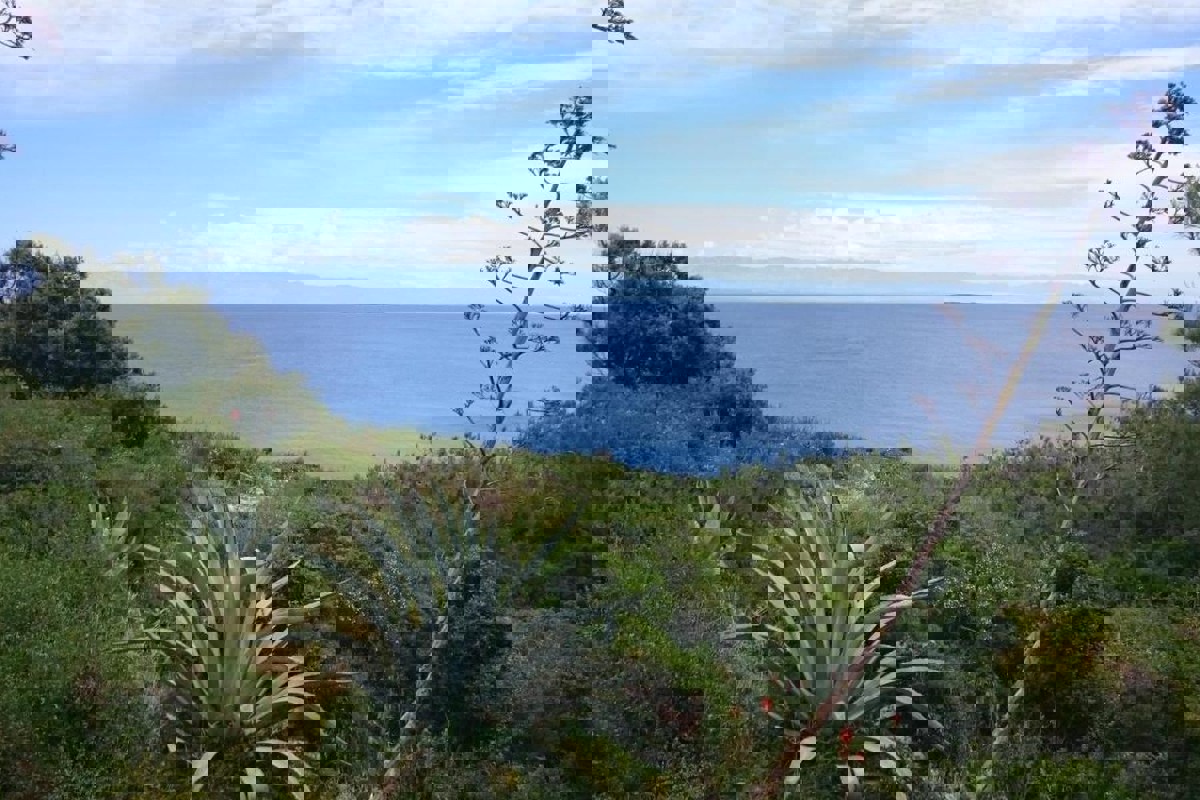 Casa ZAGREB, 750.000 €