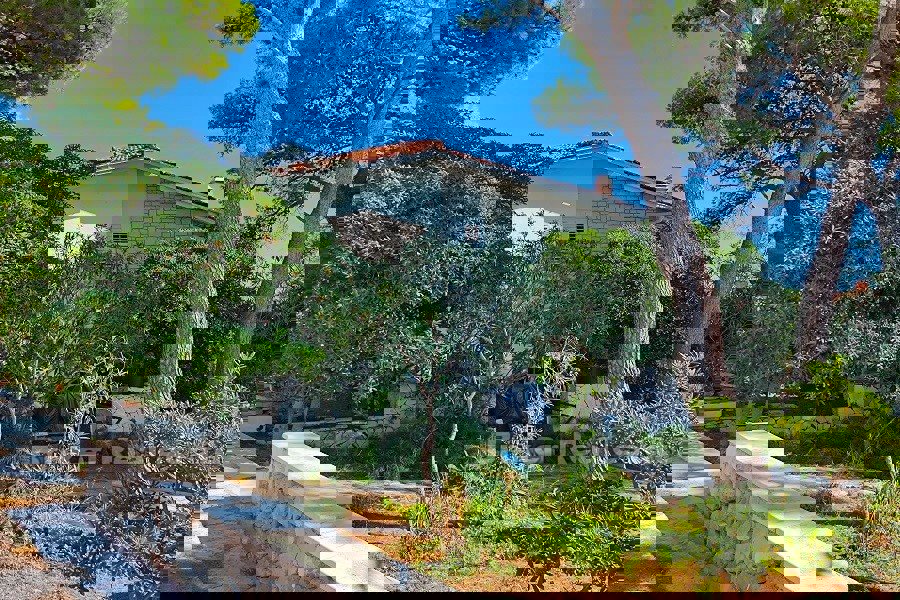 BRAČ
