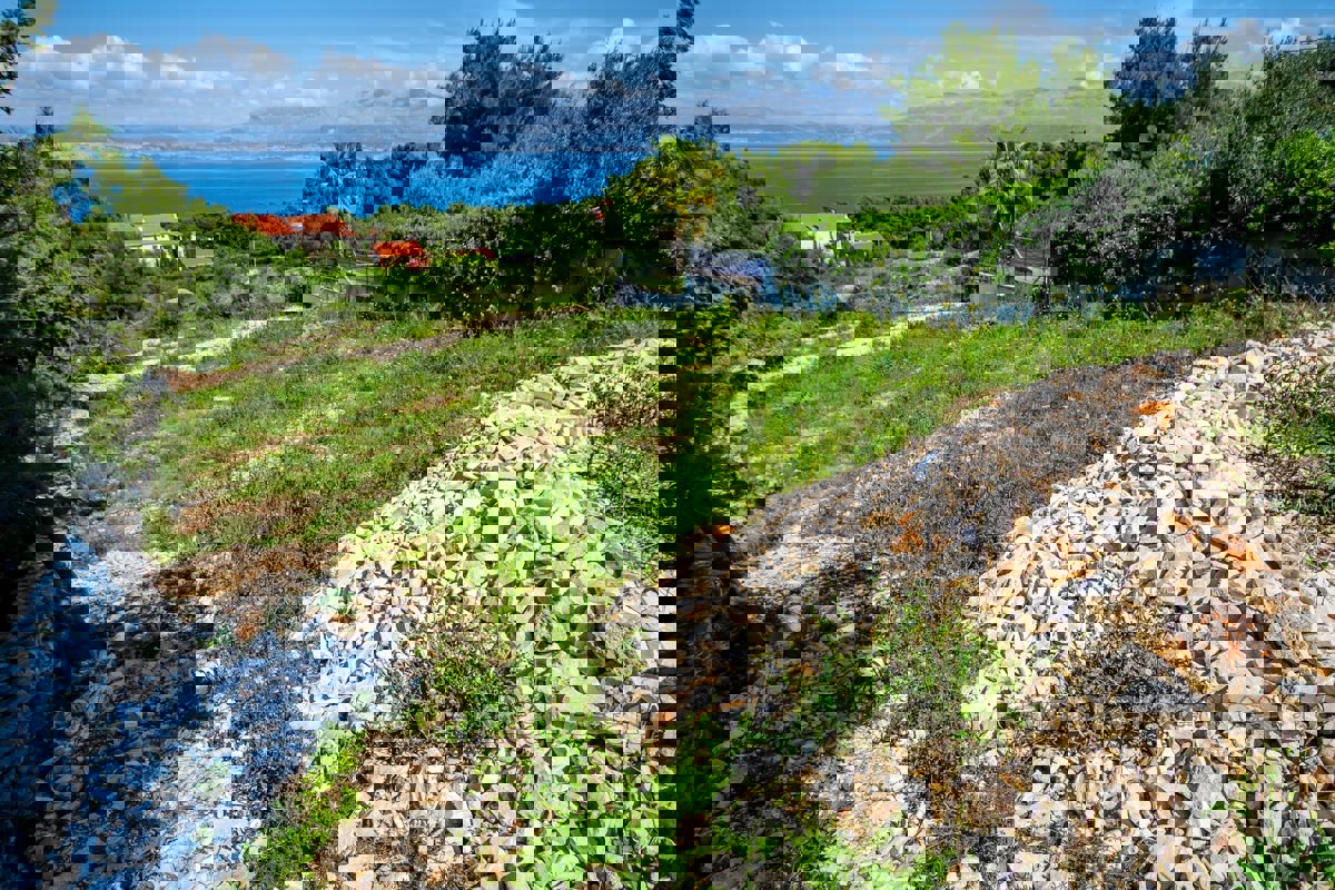 BRAČ