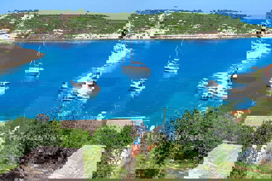 VIS