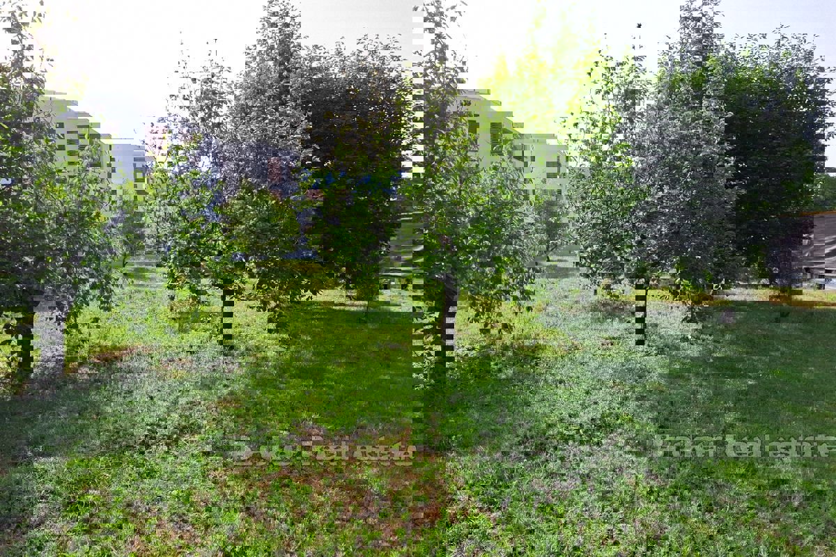 SPLIT