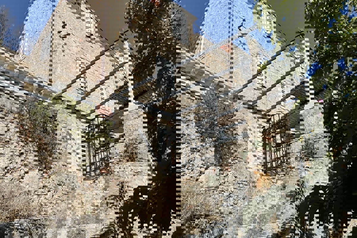 PELJEŠAC