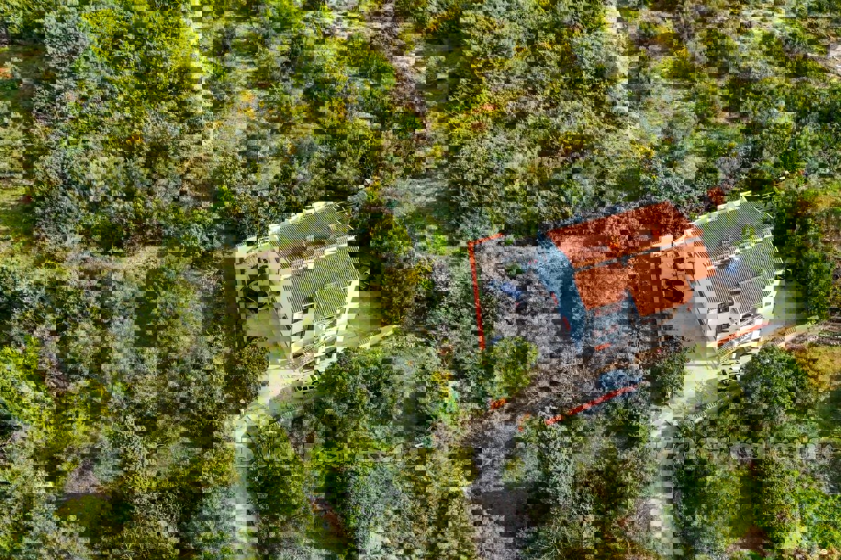 UGLJAN