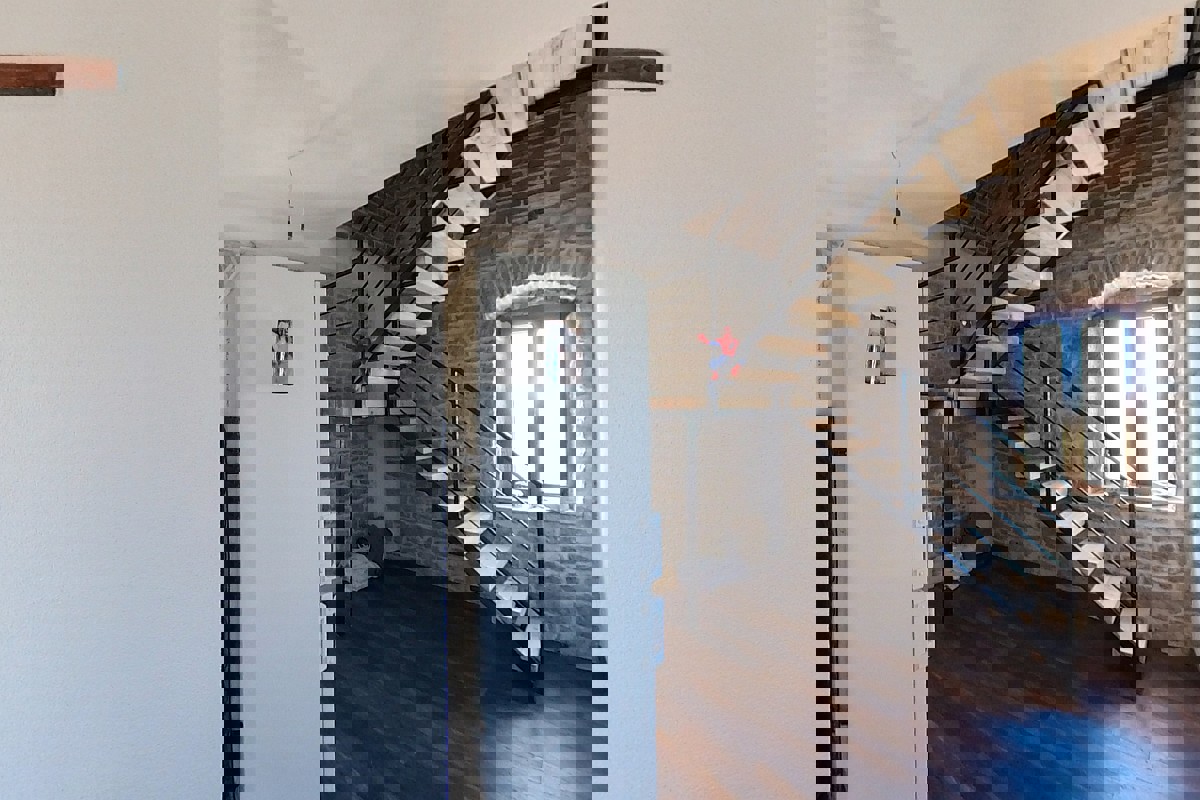 ŠOLTA