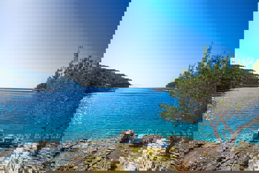 BRAČ