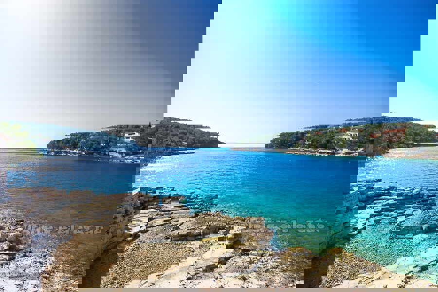 BRAČ