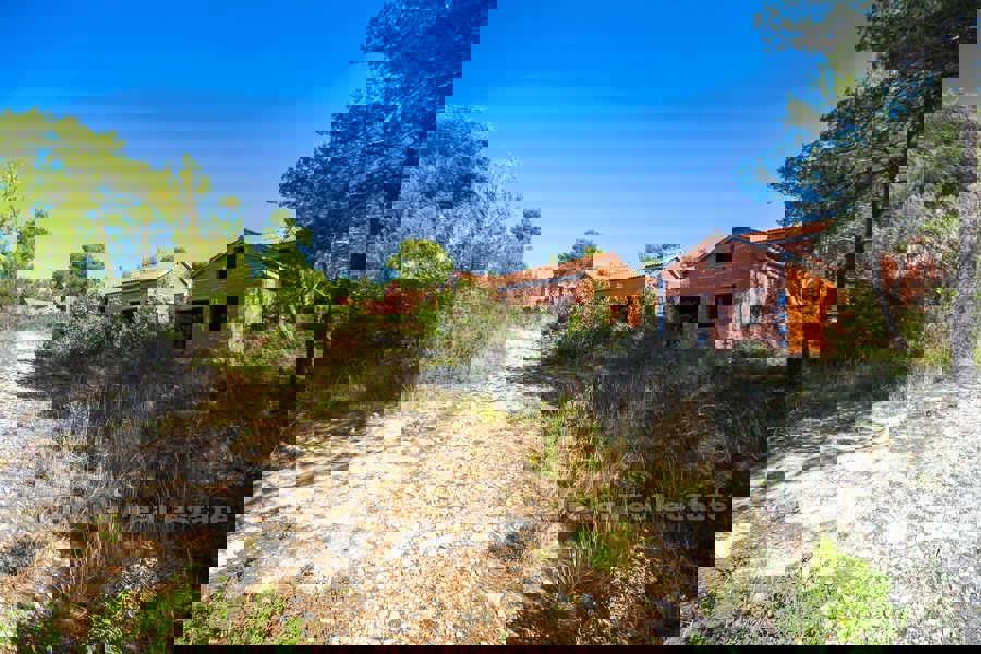 BRAČ