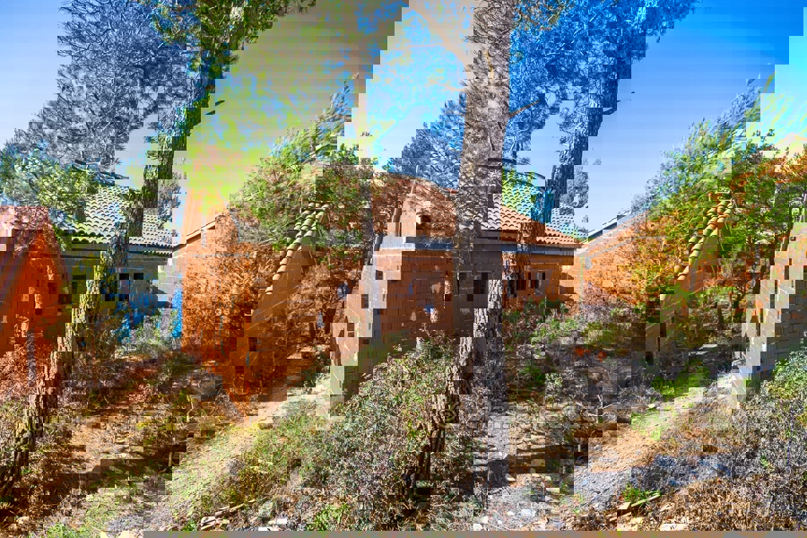 BRAČ