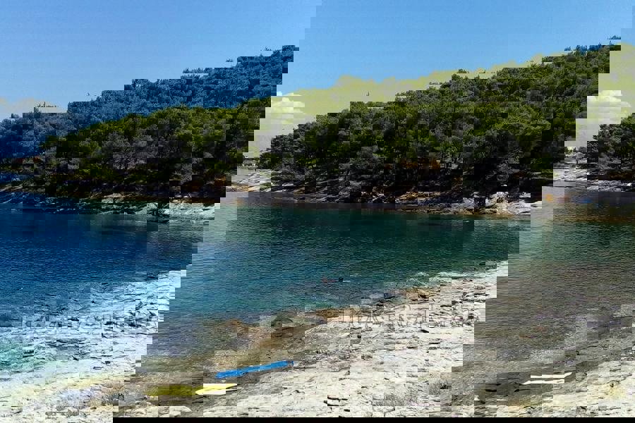 BRAČ