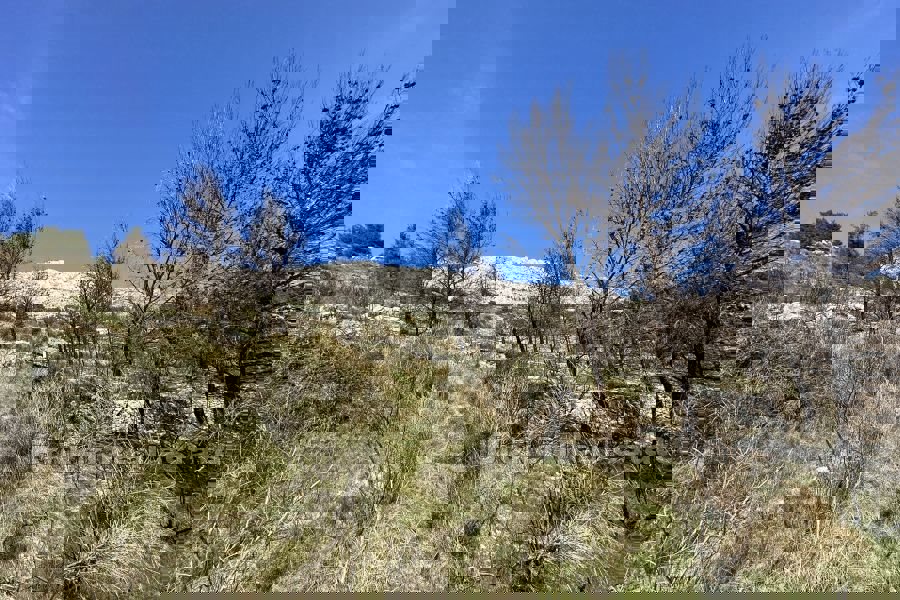 OMIŠ