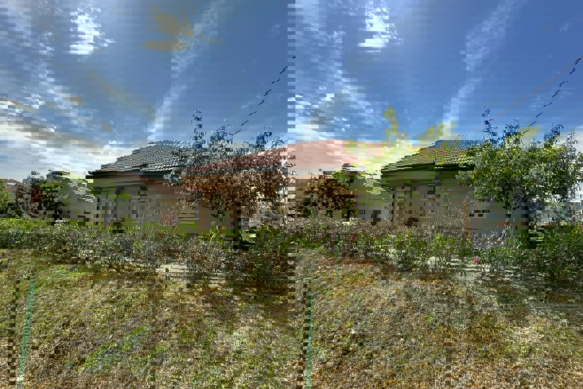 SPLIT
