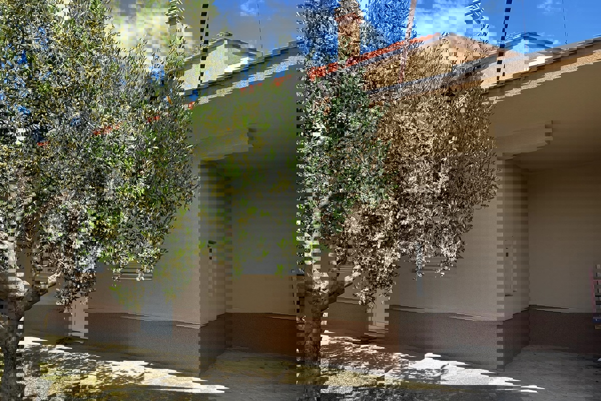 SPLIT