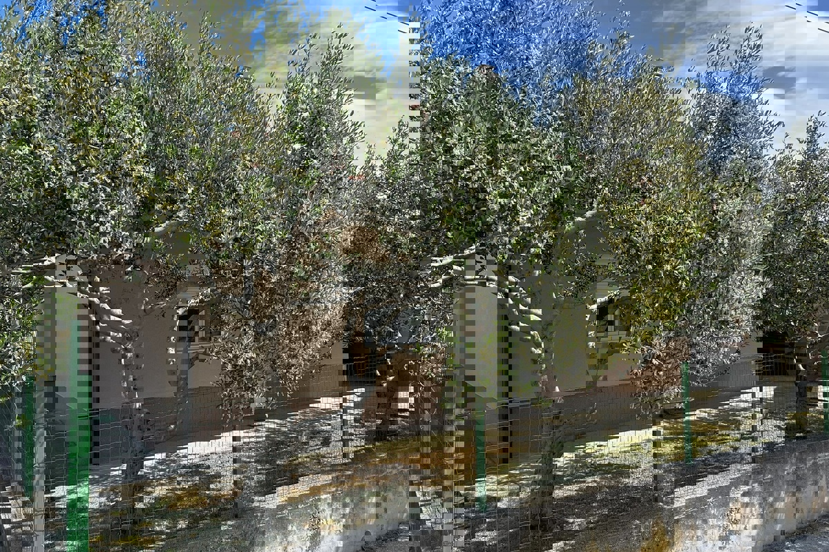SPLIT