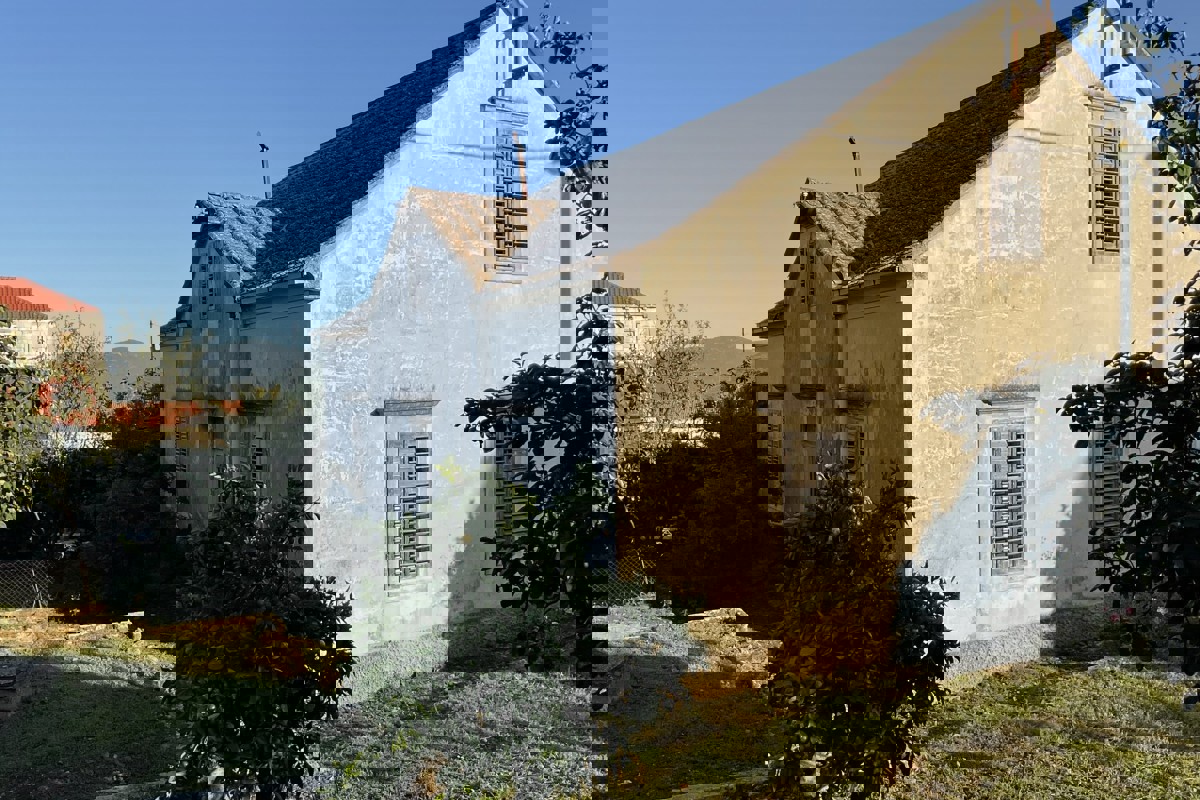 PELJEŠAC