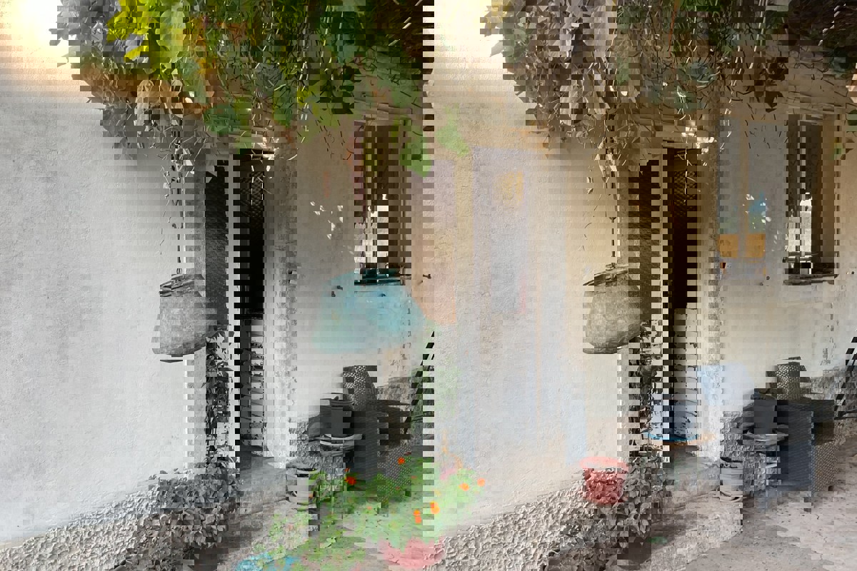 PELJEŠAC