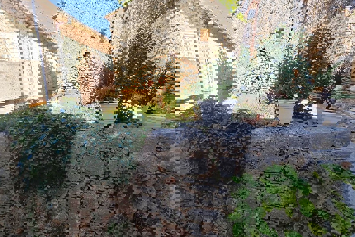 HVAR