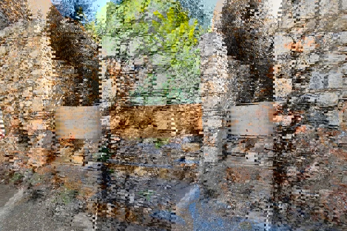 HVAR