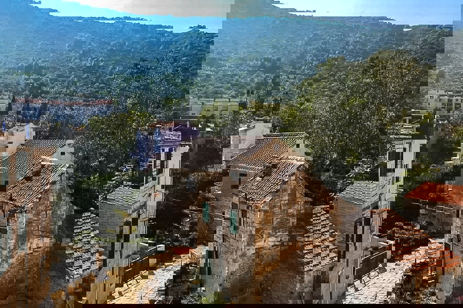 VIS