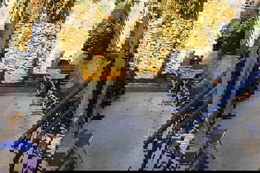 VIS