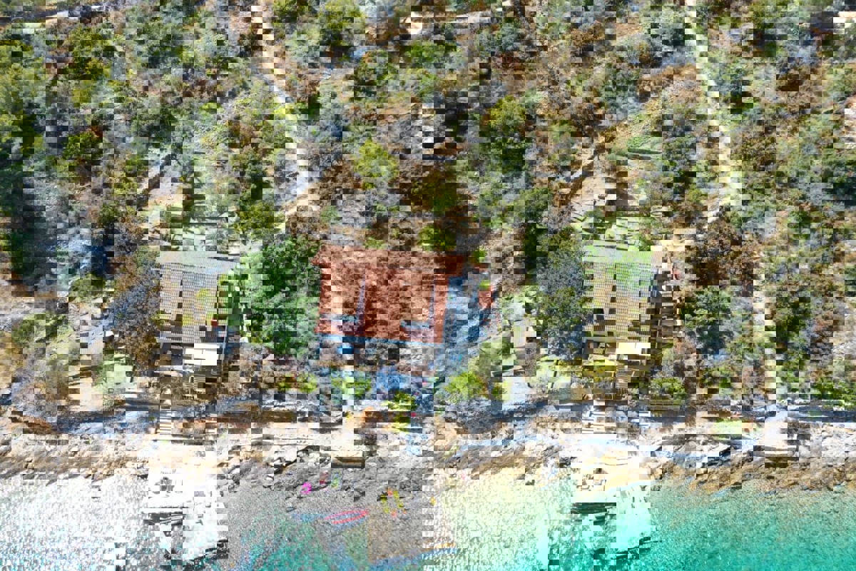 DRVENIK