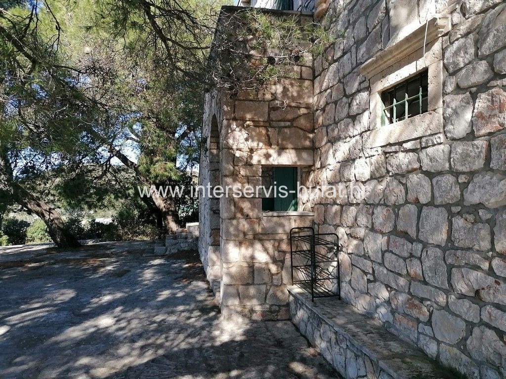 image 13