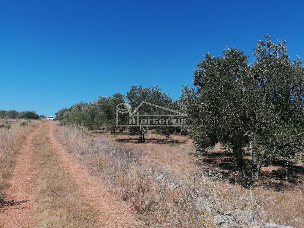 image 13