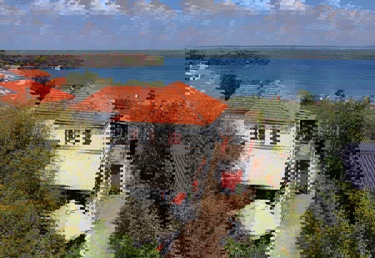 RASLINA