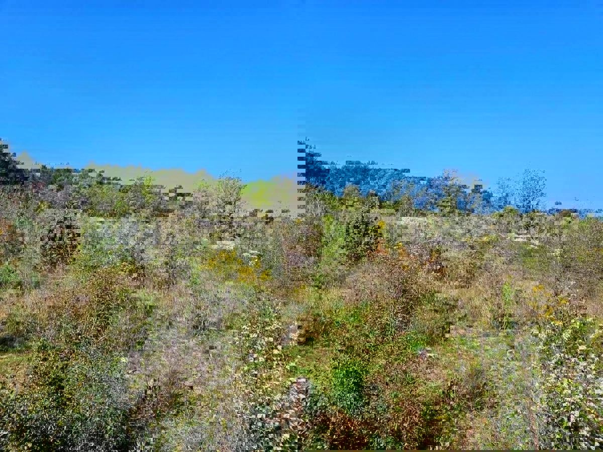 Участок VODICE, 55.489 €