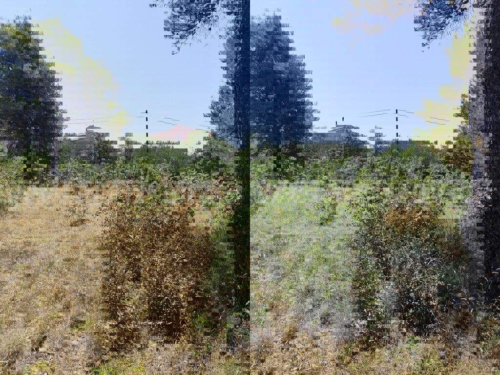 BILICE